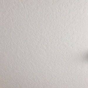 Meet your Posher, Silvana